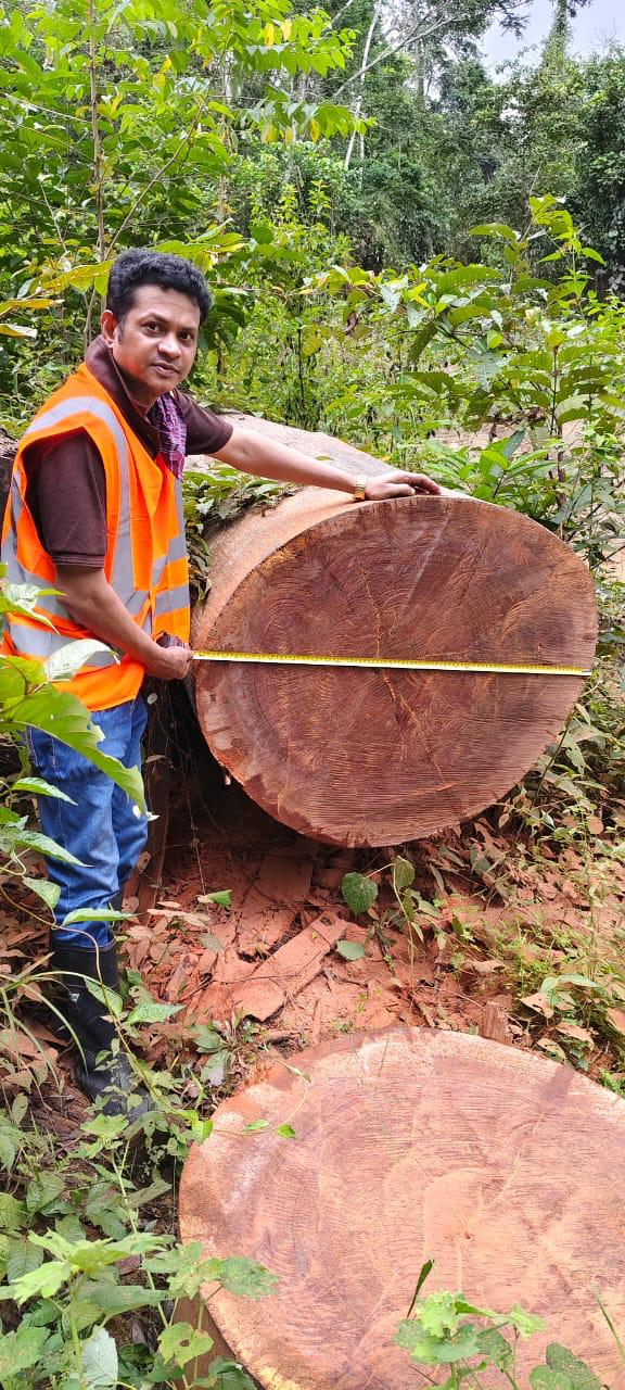 Export shipment underway, Liberia