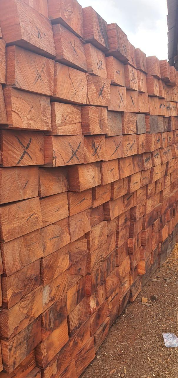 Graded sawn hardwood ready for export, Ghana