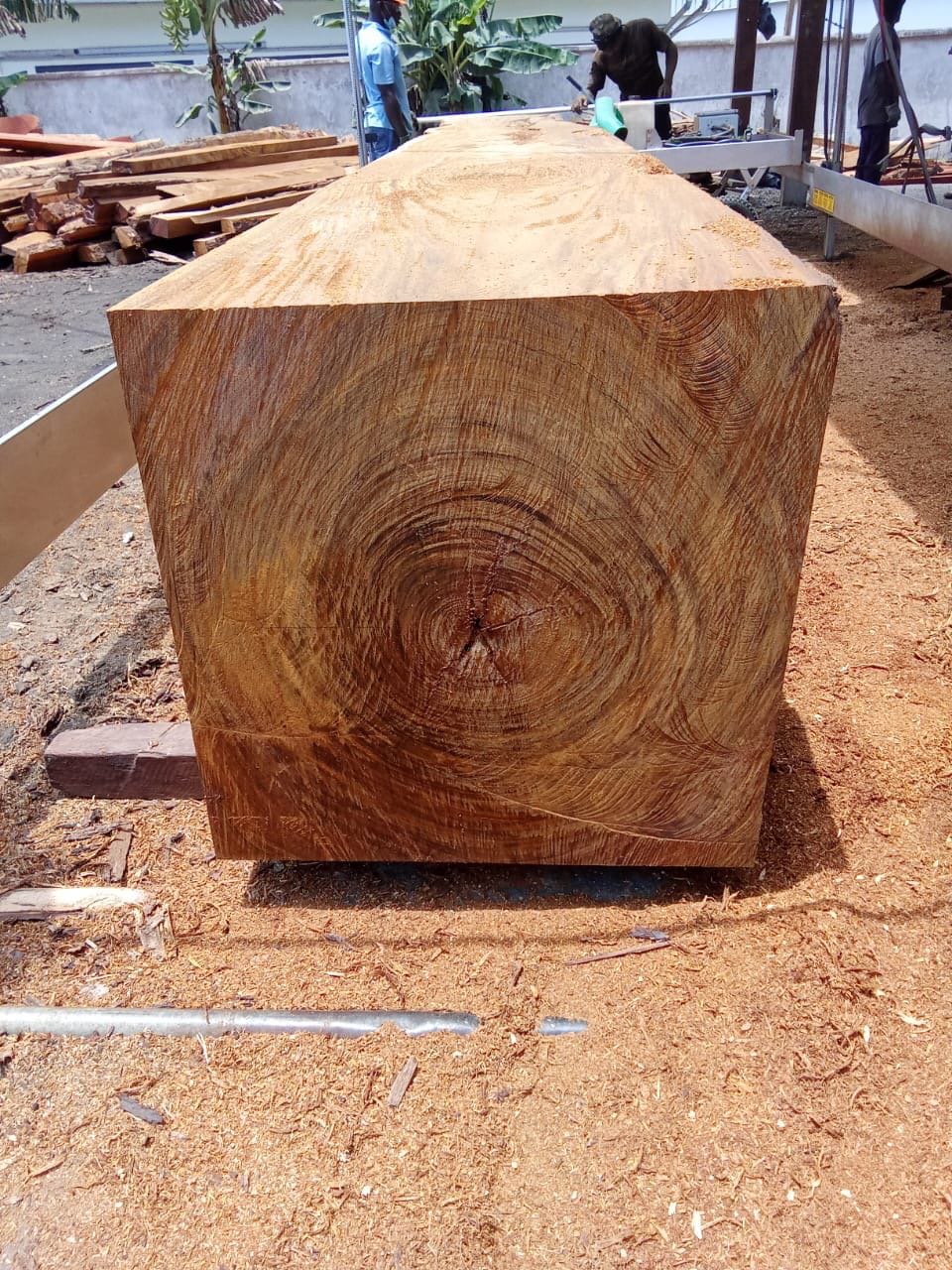 Export-ready hardwood consignment, Ghana