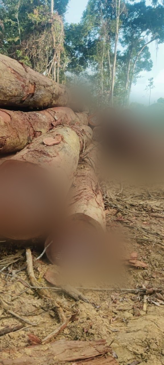 Log-end grading, Liberia