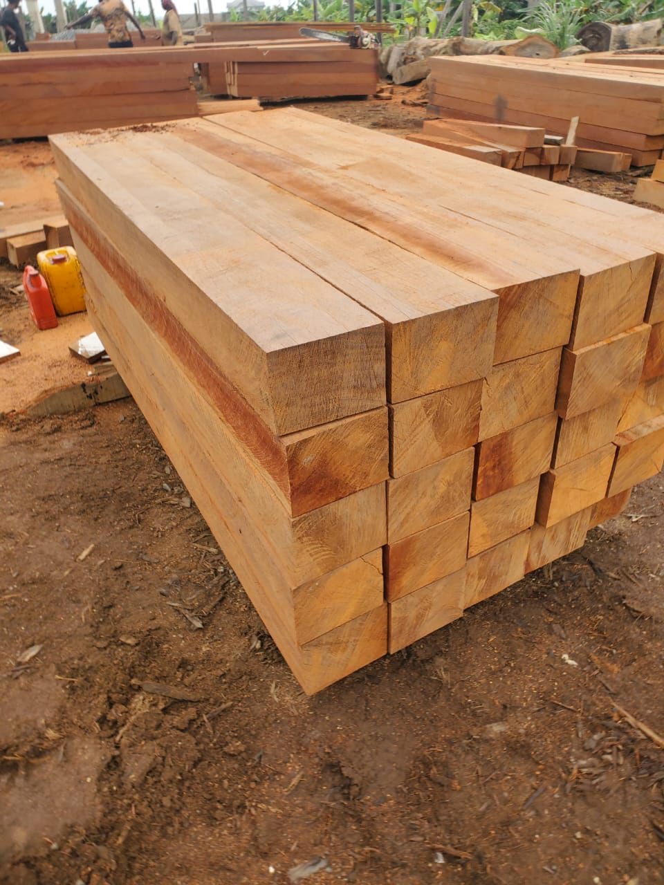 Sawn lumber stack awaiting inspection, Ghana