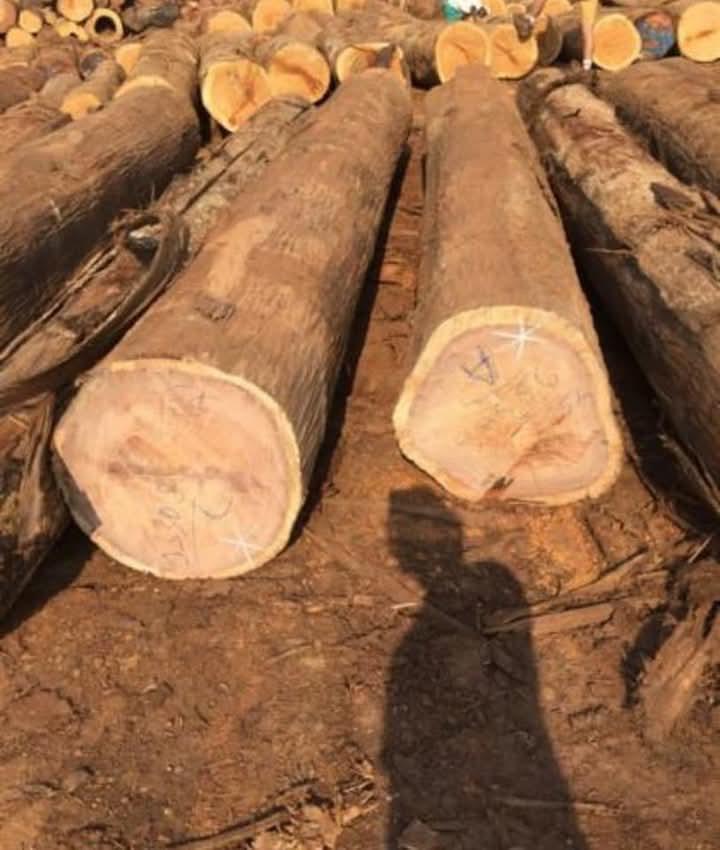 Log yard at Liberia port