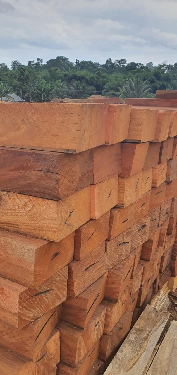 Freshly milled sawn timber stack, Ghana