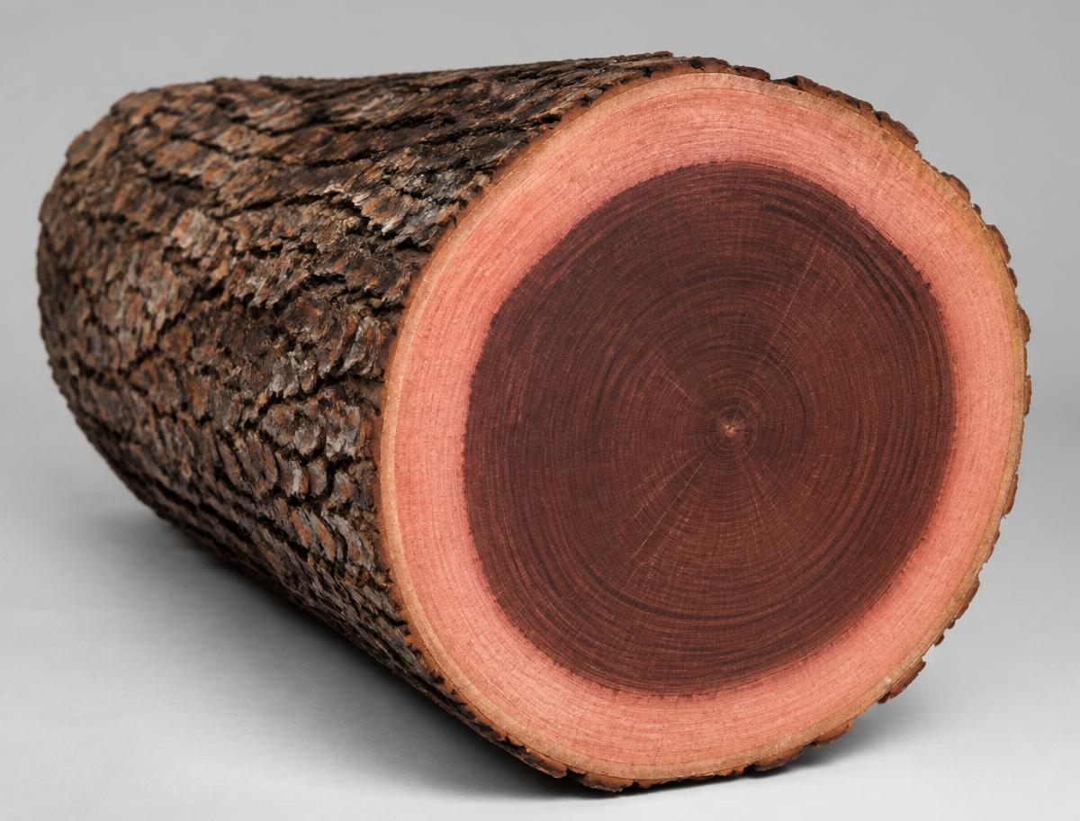 Azobe / Ekki tropical hardwood