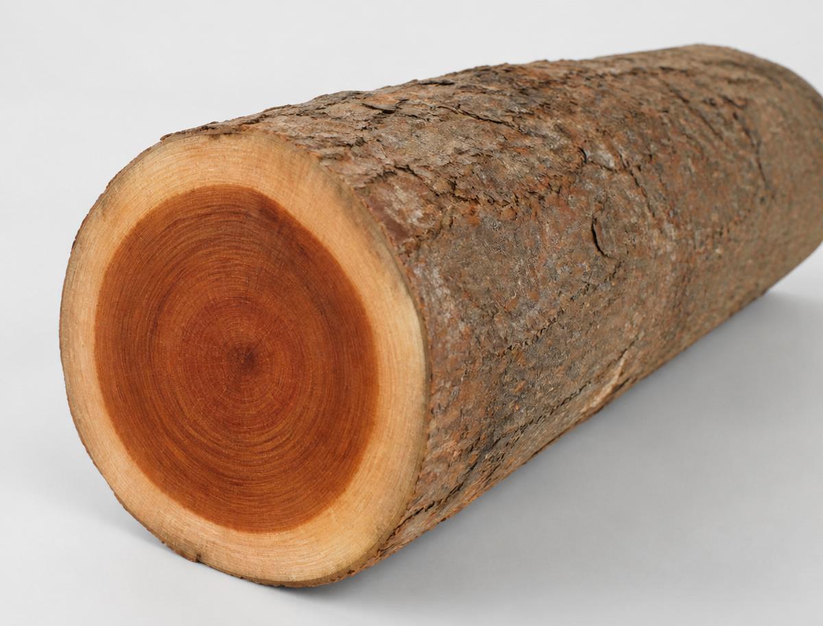 Tali tropical hardwood