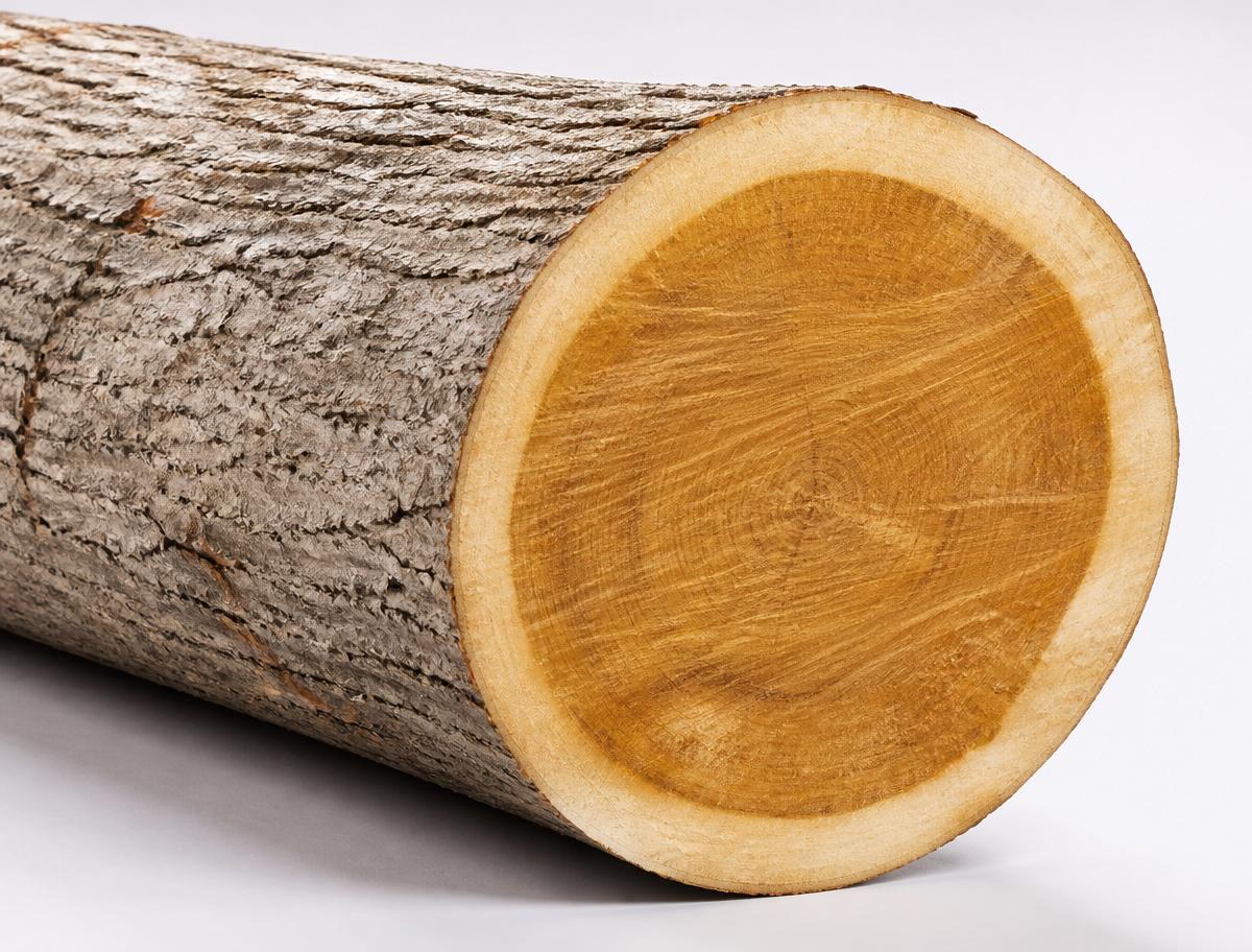 Teak tropical hardwood